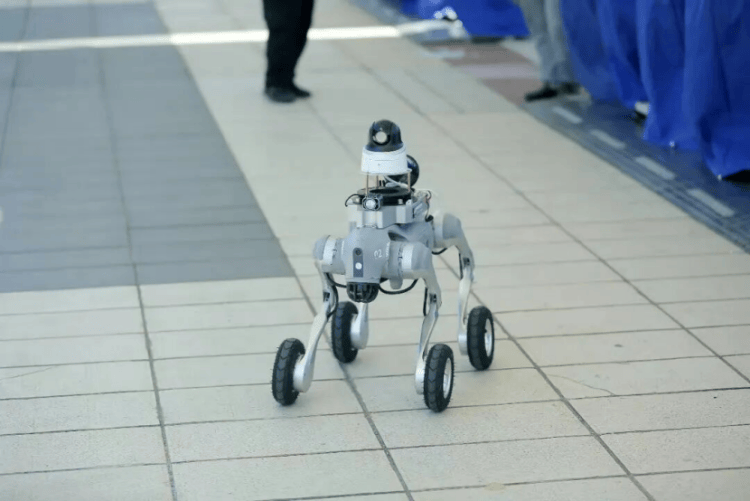 “汪汪队”的“苏超”赛场安保日记