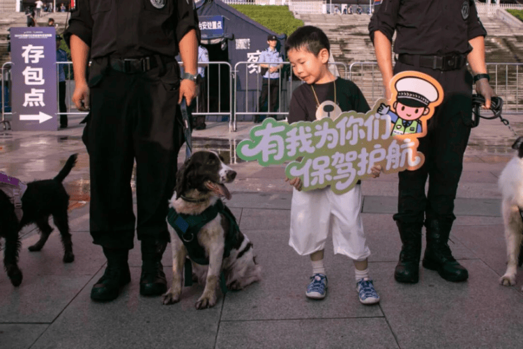 “汪汪队”的“苏超”赛场安保日记